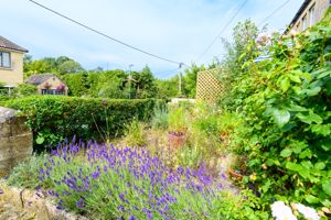 Front Garden- click for photo gallery